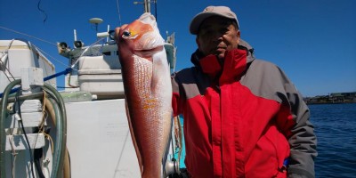 フィッシング太陽 釣果