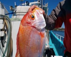 フィッシング太陽 釣果