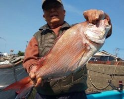 フィッシング太陽 釣果