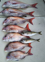 釣り舟　海竜 釣果