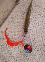 釣り舟 海竜 釣果