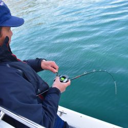 Fisherman Dreams DI 釣果