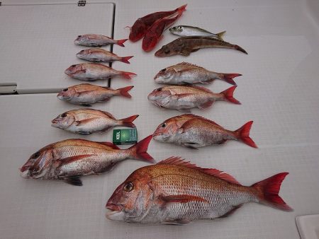 フィッシングボートACE（エース） 釣果