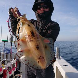 フィッシングボートACE(エース) 釣果