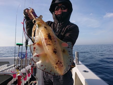 フィッシングボートACE(エース) 釣果