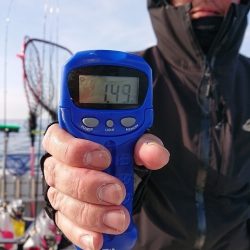 フィッシングボートACE(エース) 釣果