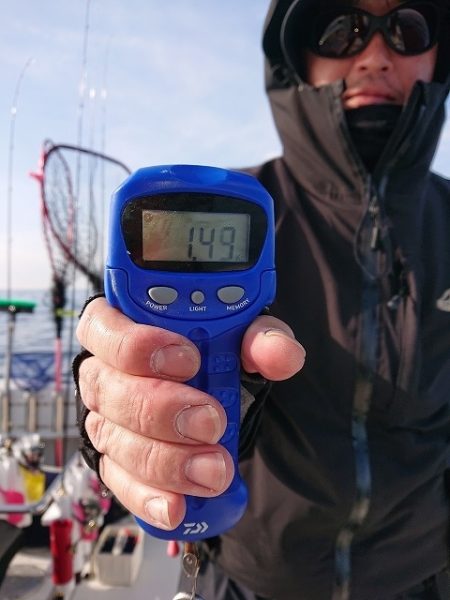 フィッシングボートACE(エース) 釣果