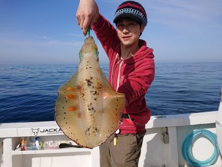 フィッシングボートACE(エース) 釣果