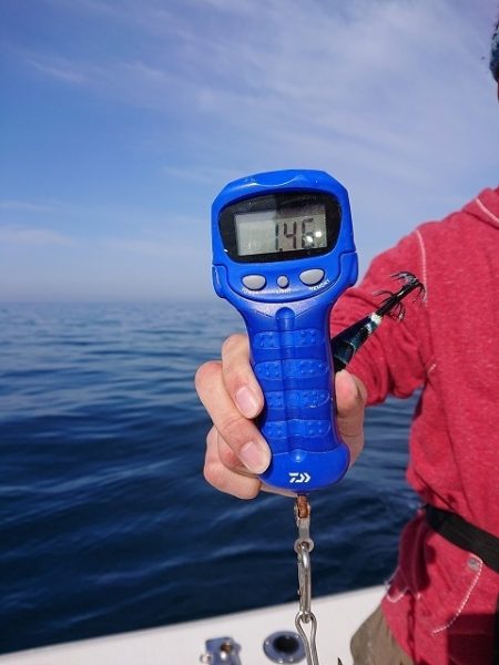 フィッシングボートACE(エース) 釣果