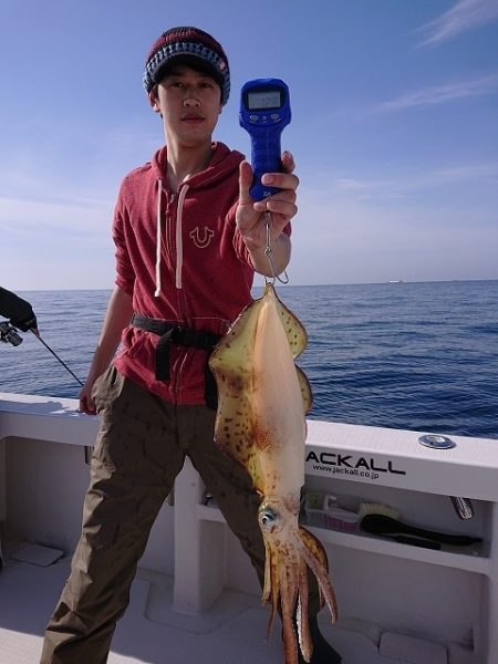 フィッシングボートACE(エース) 釣果