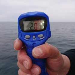 フィッシングボートACE(エース) 釣果