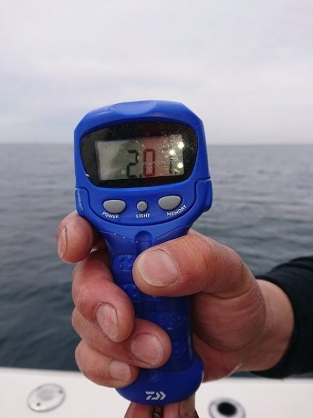 フィッシングボートACE(エース) 釣果