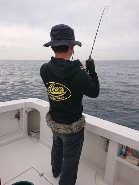 フィッシングボートACE(エース) 釣果