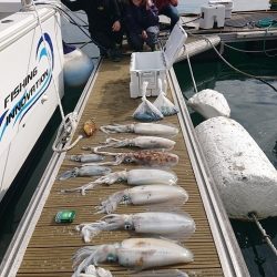 フィッシングボートACE(エース) 釣果