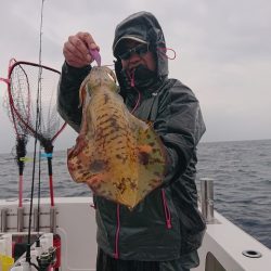 フィッシングボートACE（エース） 釣果