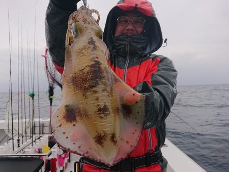 フィッシングボートACE（エース） 釣果