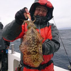 フィッシングボートACE（エース） 釣果