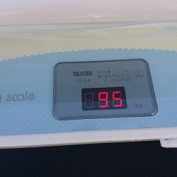 フィッシングボートACE（エース） 釣果