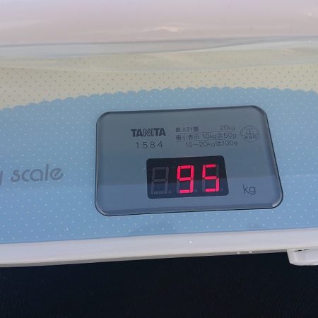 フィッシングボートACE（エース） 釣果