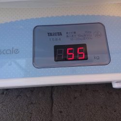 フィッシングボートACE（エース） 釣果