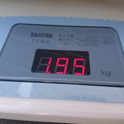 フィッシングボートACE（エース） 釣果