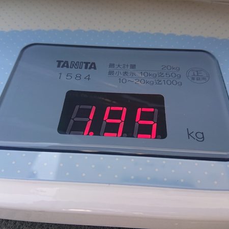 フィッシングボートACE（エース） 釣果