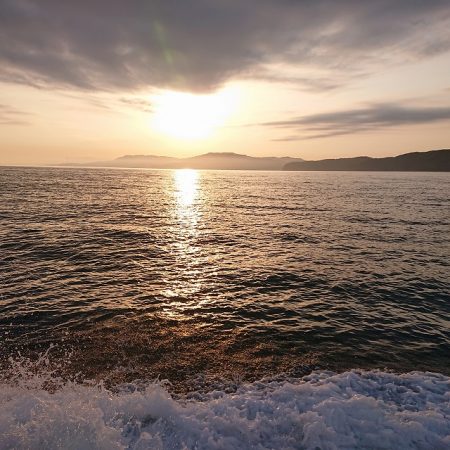 フィッシングボートACE(エース) 釣果