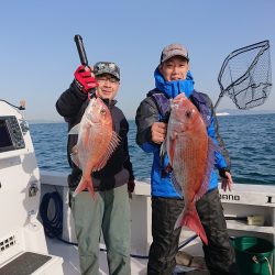 フィッシングボートACE(エース) 釣果