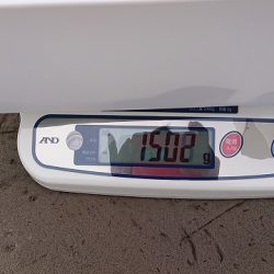 フィッシングボートACE(エース) 釣果