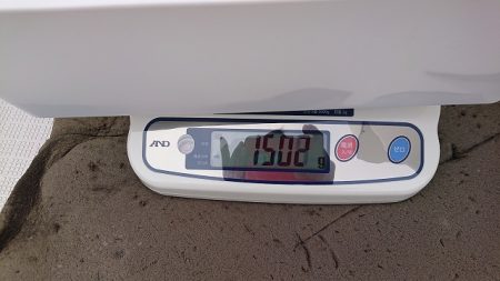 フィッシングボートACE(エース) 釣果