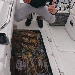 フィッシングボートACE(エース) 釣果