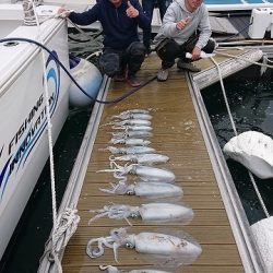 フィッシングボートACE(エース) 釣果