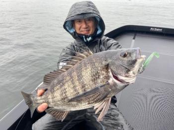 シーマジカル 釣果