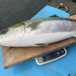 まるいち丸 ZERO-1 釣果