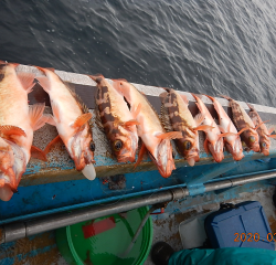 作十丸 釣果