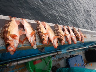 作十丸 釣果