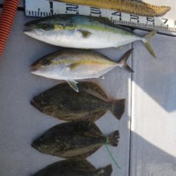 磯部釣船 直栄丸 釣果