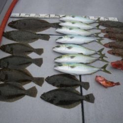 磯部釣船 直栄丸 釣果