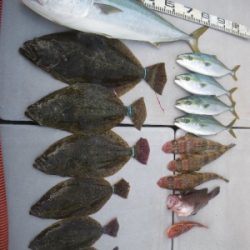 磯部釣船 直栄丸 釣果