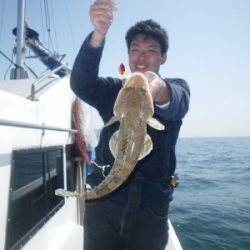 磯部釣船 直栄丸 釣果