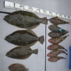 磯部釣船 直栄丸 釣果