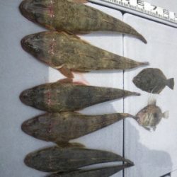 磯部釣船 直栄丸 釣果