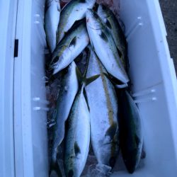 オーシャンズ　京都 釣果