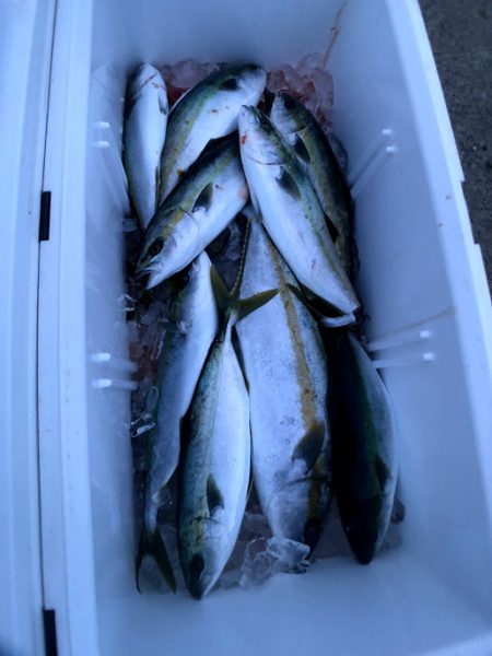 オーシャンズ　京都 釣果