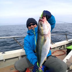 オーシャンズ　京都 釣果