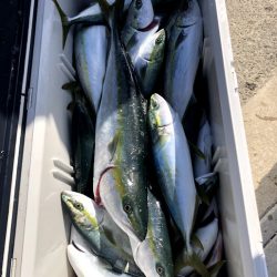 オーシャンズ　京都 釣果