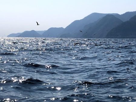 オーシャンズ　京都 釣果