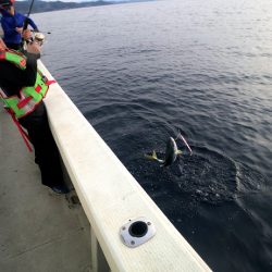 オーシャンズ 京都 釣果