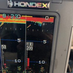 深川 吉野屋 釣果