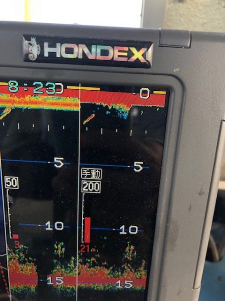 深川 吉野屋 釣果